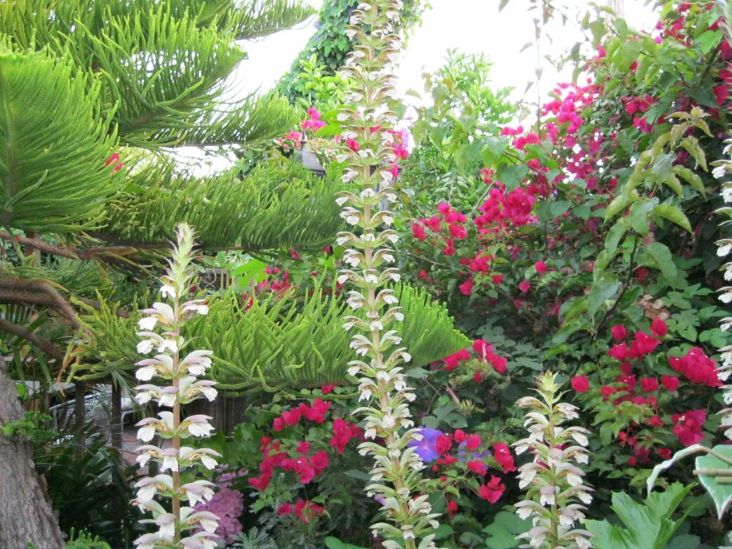 A White Jasmine Inn 산타 바바라 외부 사진